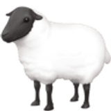 Ewe - Facebook