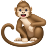 Monkey - Facebook