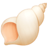 Spiral shell - Facebook