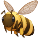 Honeybee - Facebook