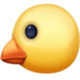 Baby chick - Facebook