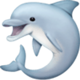 Dolphin - Facebook