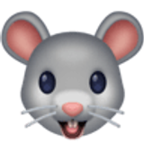 Mouse face - Facebook