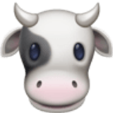 Cow face - Facebook