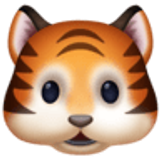 Tiger face - Facebook