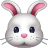 Rabbit face - Facebook