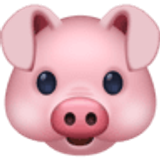 Pig face - Facebook