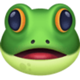Frog - Facebook