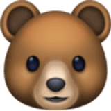 Bear - Facebook