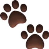 Paw prints - Facebook