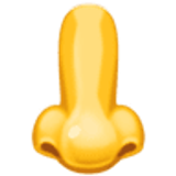 Nose - Facebook