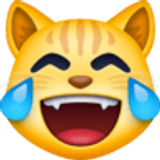 Cat with tears of joy - Facebook