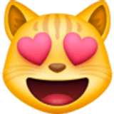 Smiling cat with heart-eyes - Facebook