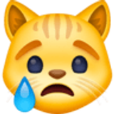 Crying cat - Facebook