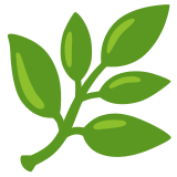 Herb - Noto Color Emoji