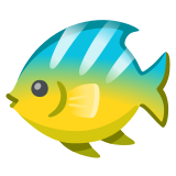 Tropical fish - Noto Color Emoji