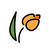 Tulip - OpenMoji