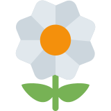 Blossom - Twitter / X