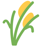 Sheaf of rice - Twitter / X