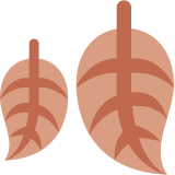 Fallen leaf - Twitter / X