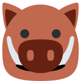 Boar - Twitter / X