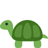 Turtle - Twitter / X