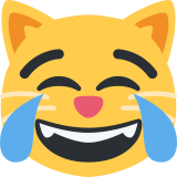 Cat with tears of joy - Twitter / X