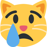 Crying cat - Twitter / X