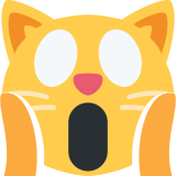 Weary cat - Twitter / X