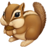 Chipmunk - Facebook