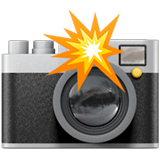 Camera with flash object