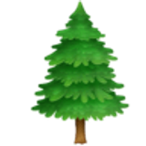 Evergreen tree - Facebook