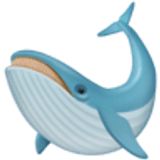 Whale - Facebook