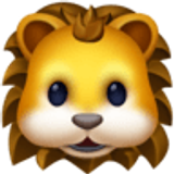 Lion - Facebook