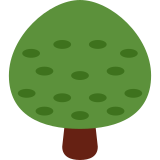 Deciduous tree - Twitter / X