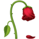 Wilted flower - Facebook