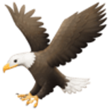 Eagle - Facebook