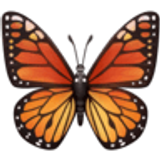 Butterfly - Facebook