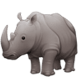 Rhinoceros - Facebook