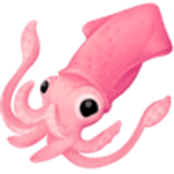 Squid - Facebook