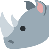 Rhinoceros - Twitter / X