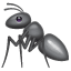 Ant U+1F41C Ant U+1F41C