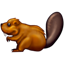 Beaver Whatsapp U+1F9AB Beaver Whatsapp U+1F9AB