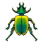 Beetle Whatsapp U+1FAB2 Beetle Whatsapp U+1FAB2
