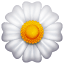 White flower emoji U+1F33C White flower emoji U+1F33C