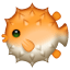 Puffer fish Whatsapp U+1F421 Puffer fish Whatsapp U+1F421
