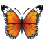 Butterfly emoji U+1F98B Butterfly emoji U+1F98B