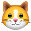 Cat face U+1F431 Cat face U+1F431