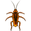 Cockroach U+1FAB3 Cockroach U+1FAB3