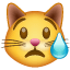 Faccina gatto che piange Whatsapp U + 1F63F